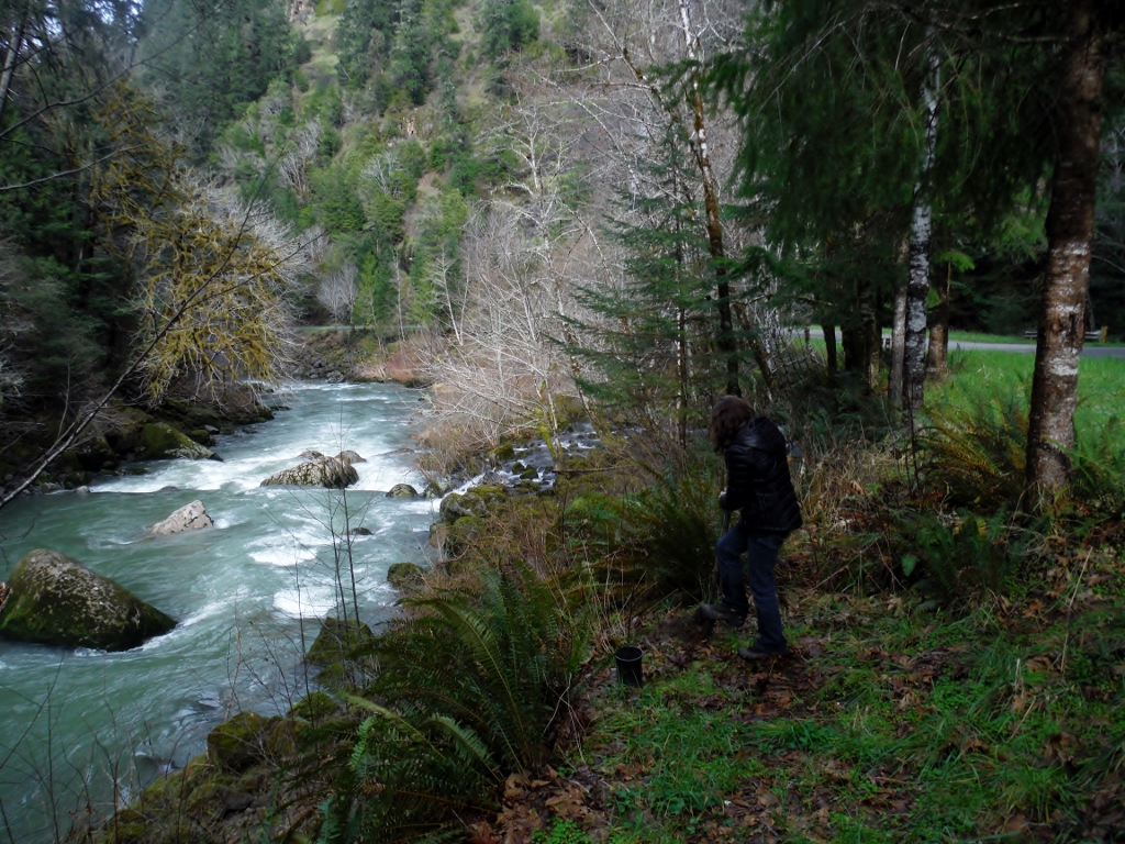 Photo 6 from COQUILLE WATERSHED ASSOCIATION